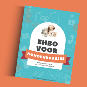 Mockup van het digitale ebook “EHBO voor hondenbaasjes” met turquoise cover, illustraties van EHBO-materialen en een schattig hondje naast een dierenartskit. Het ebook bevat praktische eerste hulp informatie voor hondenbaasjes en ondersteunt vzw fromStray2Pet.